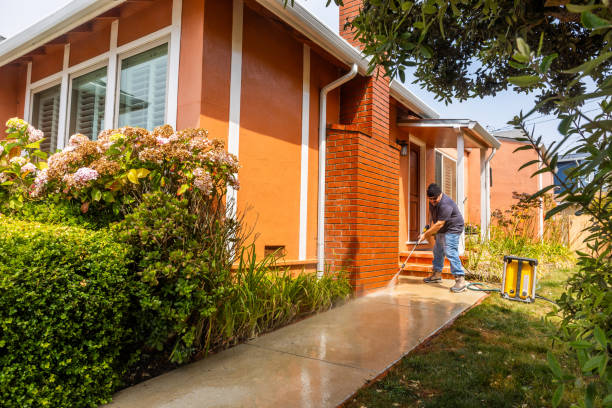 Best Affordable Power Washing  in Mosheim, TN